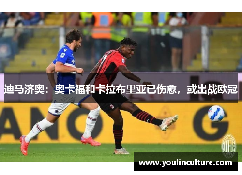 迪马济奥：奥卡福和卡拉布里亚已伤愈，或出战欧冠